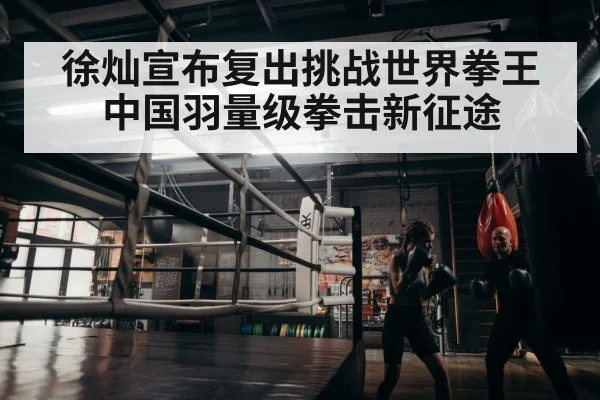 boxer training comeback