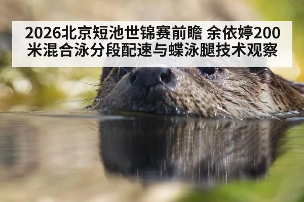 2026北京短池世锦赛前瞻 余依婷200米混合泳分段配速与蝶泳腿技术观察